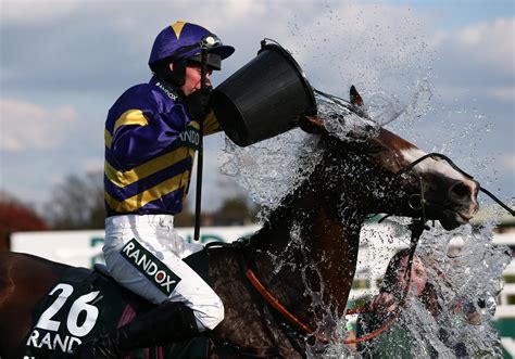 Odds Of Previous Grand National Winners Ahead of 2023 Grand .
